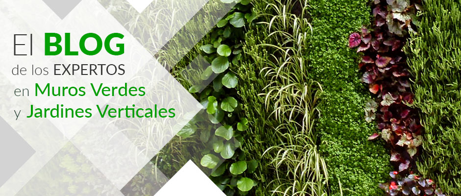 Especialistas en Jardines Verticales y Muros Verdes