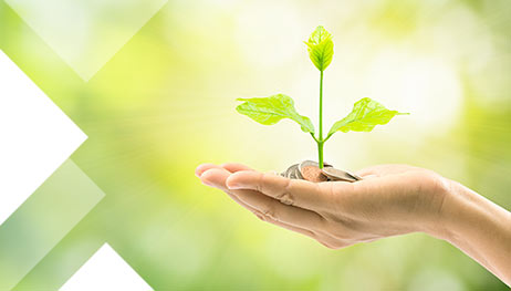 Beneficios Económicos de un jardín vertical