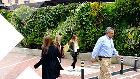 beneficios sociales jardin vertical